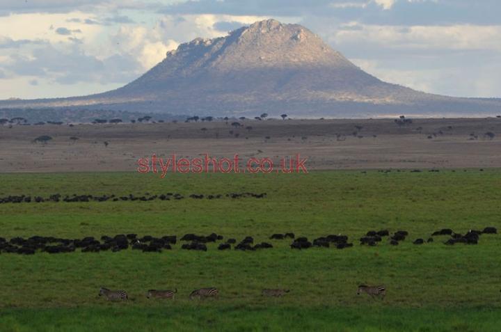 bushtreksafaris_tarangire_20