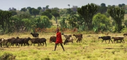 bushtrek_masaimara_001