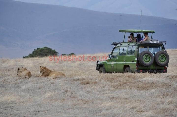 bushtreksafaris_ngorongoro_13