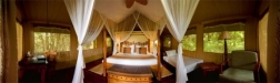 bushtrek_sarova_masaimara_01